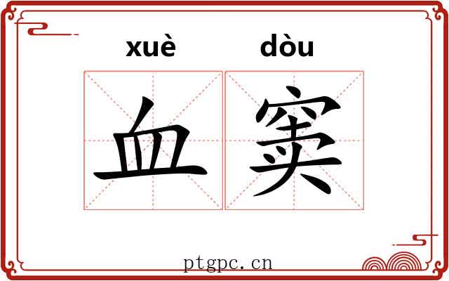 血窦 血窦