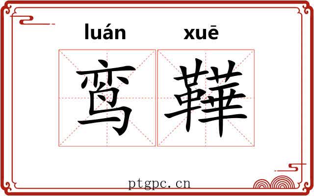 鸾鞾
