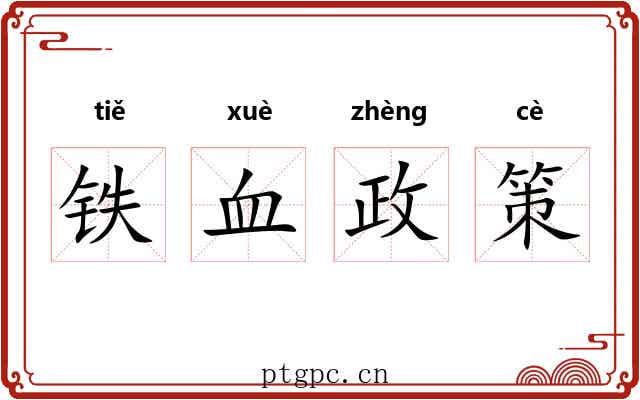 铁血政策