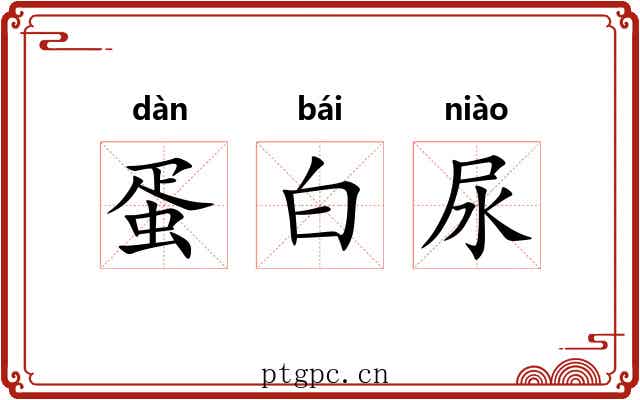 蛋白尿 蛋白尿