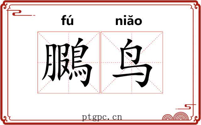 鵩鸟 鵩鸟