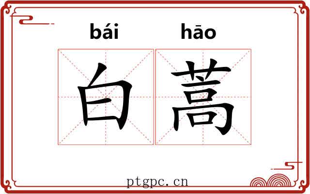 白蒿 白蒿