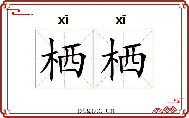 栖栖 栖栖