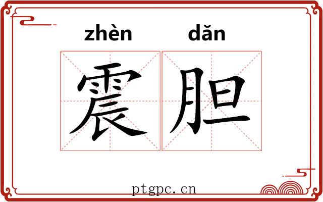 震胆 震胆