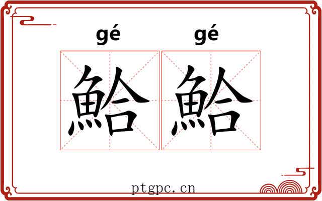 鮯鮯