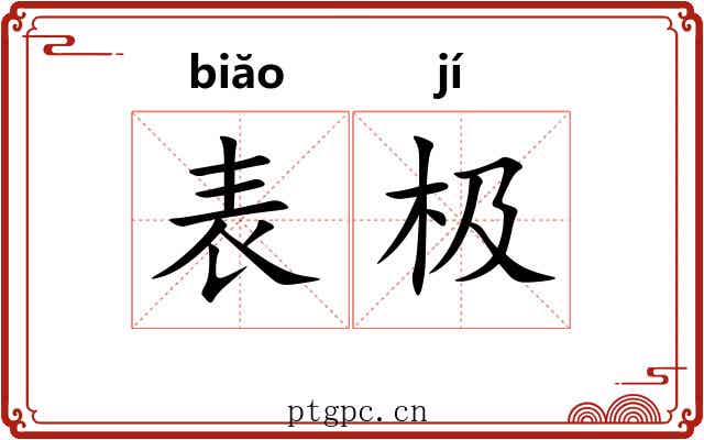 表极 表极