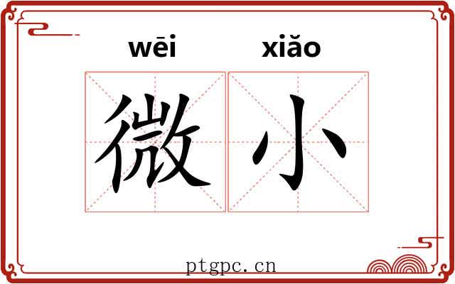 微小