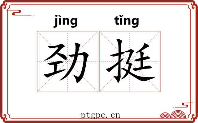 劲挺