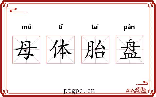 母体胎盘 母体胎盘