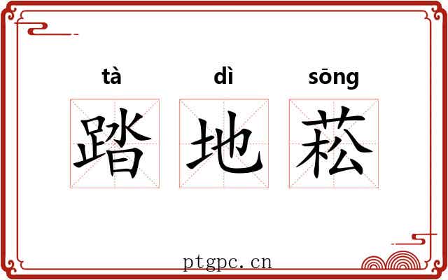 踏地菘 踏地菘