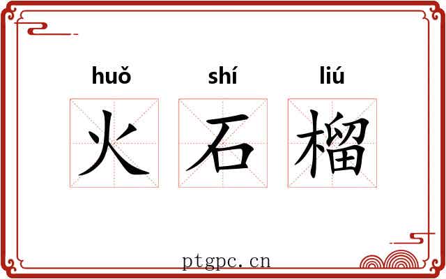火石榴
