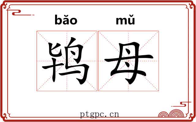鸨母