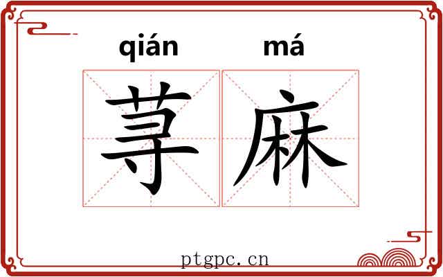 荨麻 荨麻