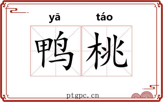 鸭桃 鸭桃