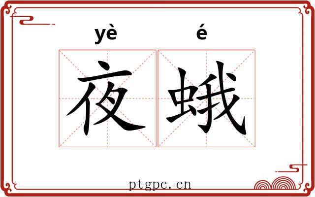 夜蛾
