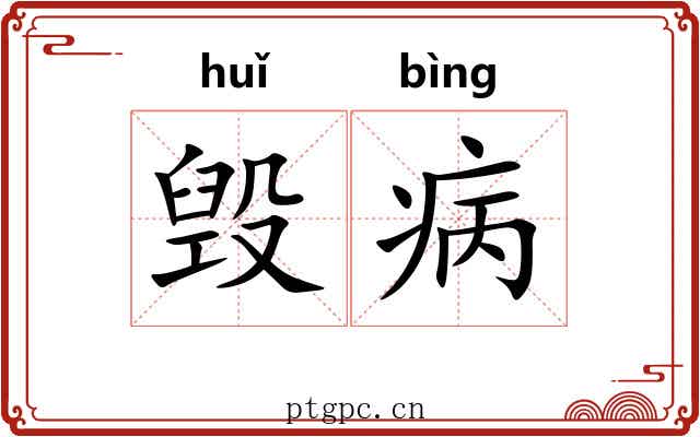 毁病
