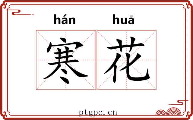 寒花 寒花
