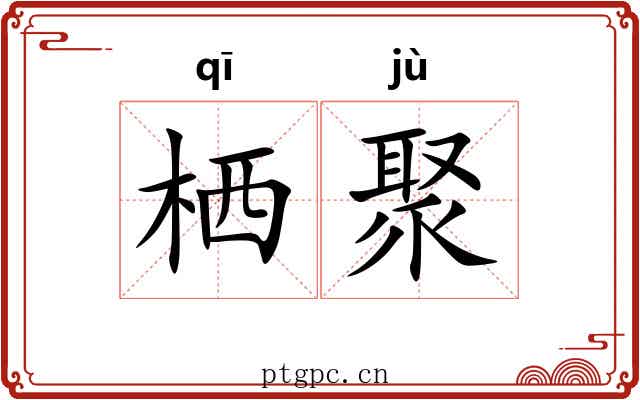 栖聚