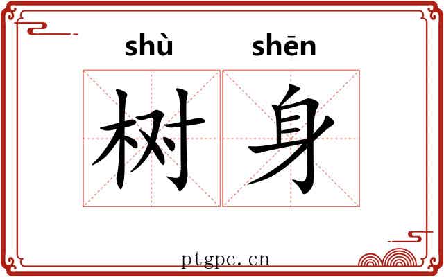 树身 树身