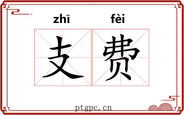 支费