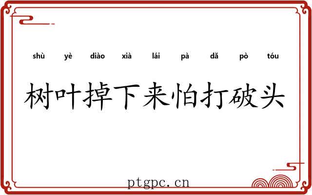 树叶掉下来怕打破头