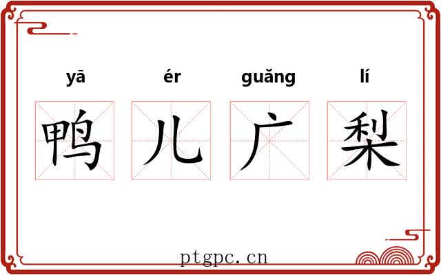 鸭儿广梨 鸭儿广梨