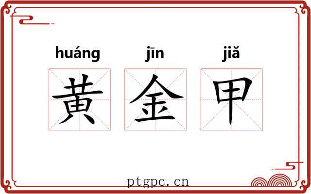 黄金甲 黄金甲