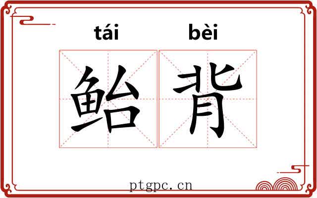 鲐背 鲐背