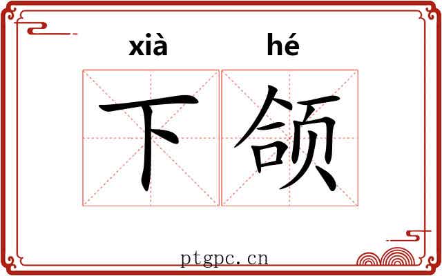 下颌 下颌
