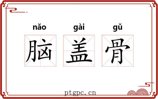 脑盖骨 脑盖骨