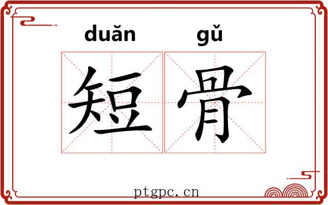 短骨