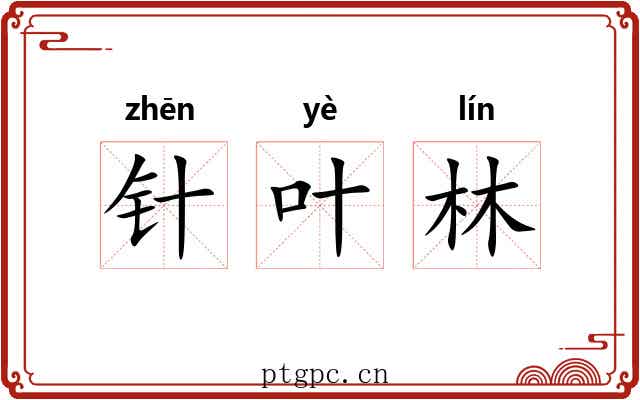 针叶林