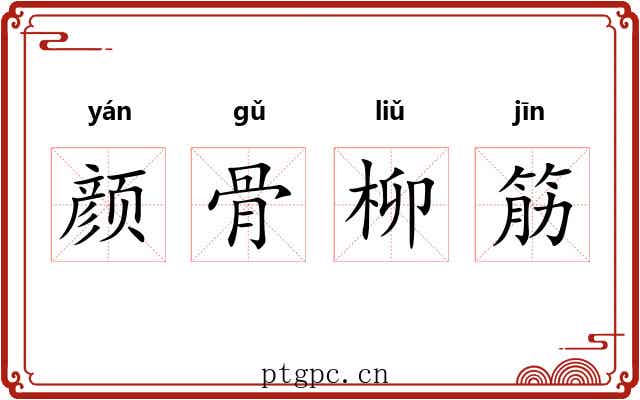 颜骨柳筋 颜骨柳筋