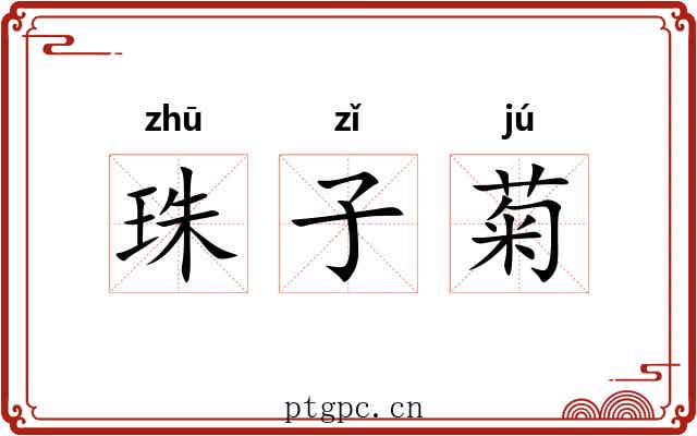 珠子菊