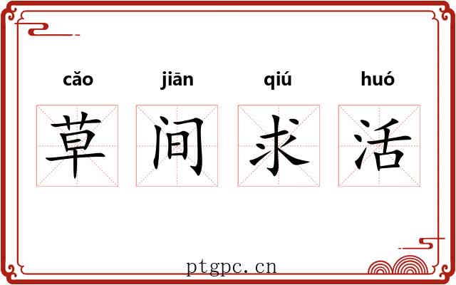 草间求活 草间求活