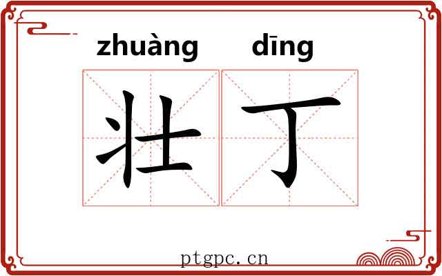壮丁