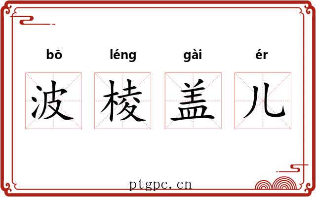 波棱盖儿 波棱盖儿