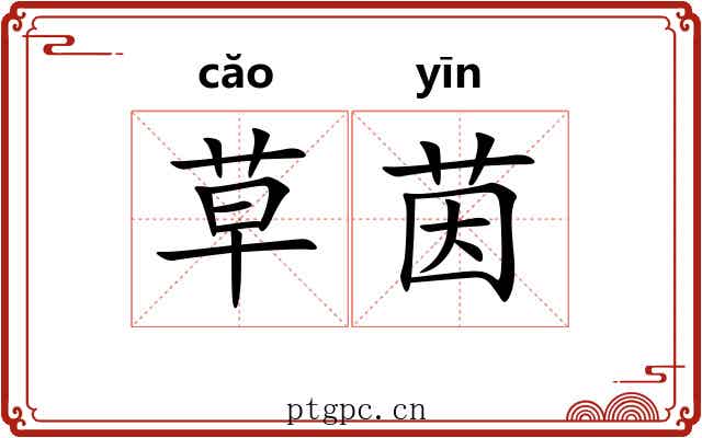 草茵 草茵