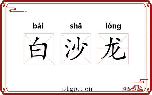 白沙龙 白沙龙