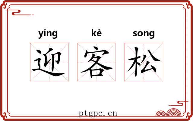 迎客松 迎客松