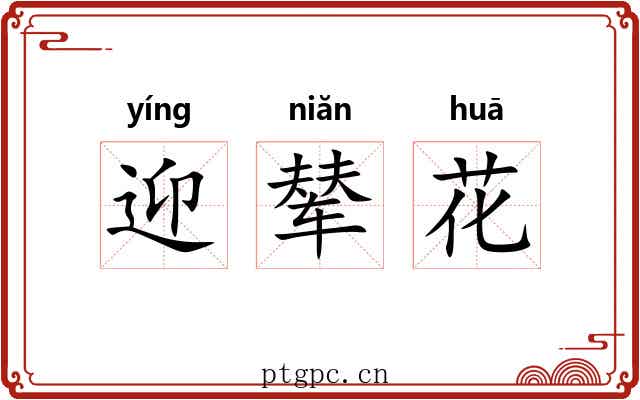 迎辇花 迎辇花