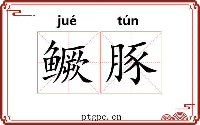 鳜豚