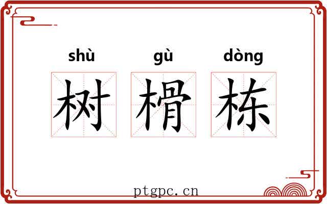 树榾栋