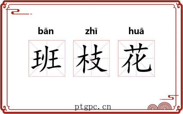班枝花 班枝花