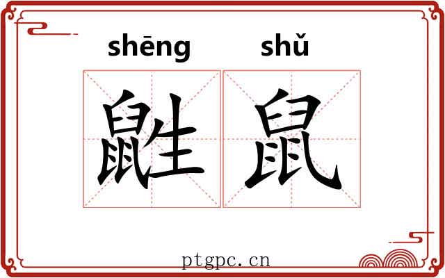 鼪鼠