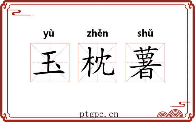 玉枕薯 玉枕薯
