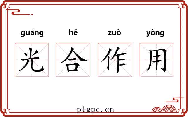 光合作用 光合作用