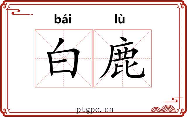 白鹿 白鹿