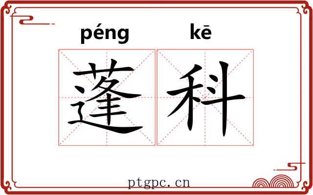 蓬科 蓬科
