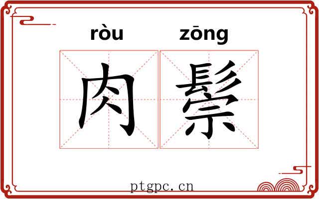 肉鬃